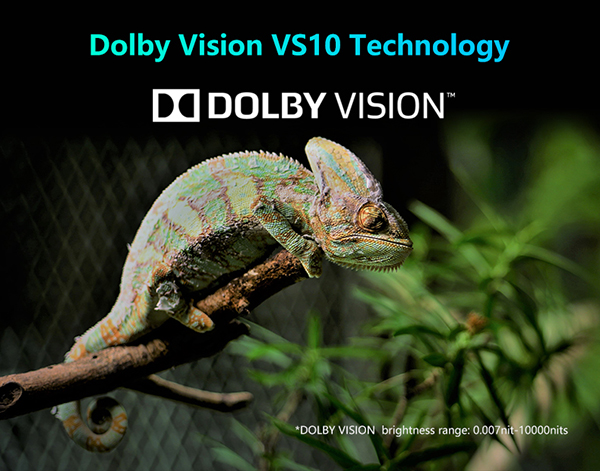 Dolby Vision media player