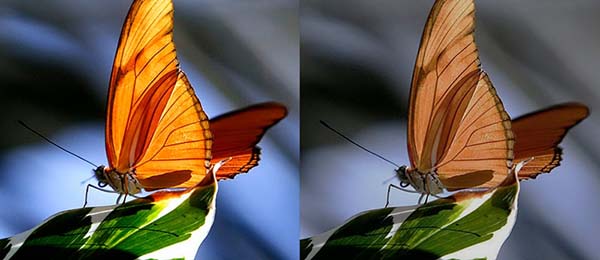 Улучшенная контрастность проектора Xgimi